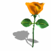 :roseo:
