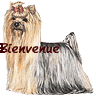 Pas de nouveaux messages Pas de nouveaux messages