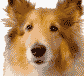:warioware: