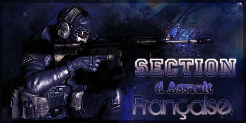 team section d'assaut française Index du Forum