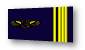 commandant