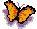 Papillonnette