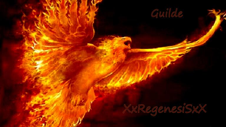 Guilde XxRegenesiSxX Index du Forum