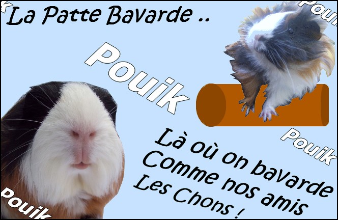 La Patte Bavarde