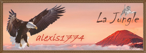 alexis1774-469225bjpg