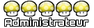 Administrateur