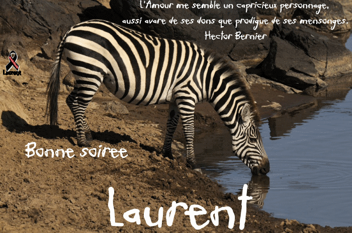 http://img.xooimage.com/files110/0/4/e/laurent2910-4d4190a.gif laurent2910-4d4190a