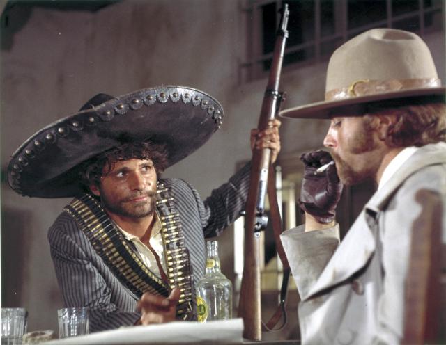 un éléphant rencontre un boa pour la première fois