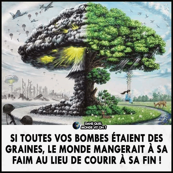 http://img.xooimage.com/files110/1/3/f/0-55a4415.gif 0-55a4415