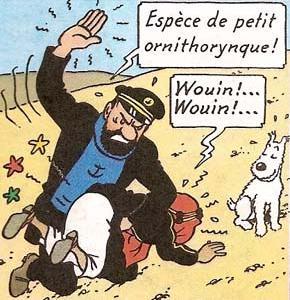 Tintin au pays des censeurs - Les livres interdits