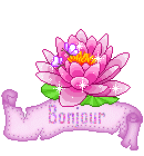 bonjour
