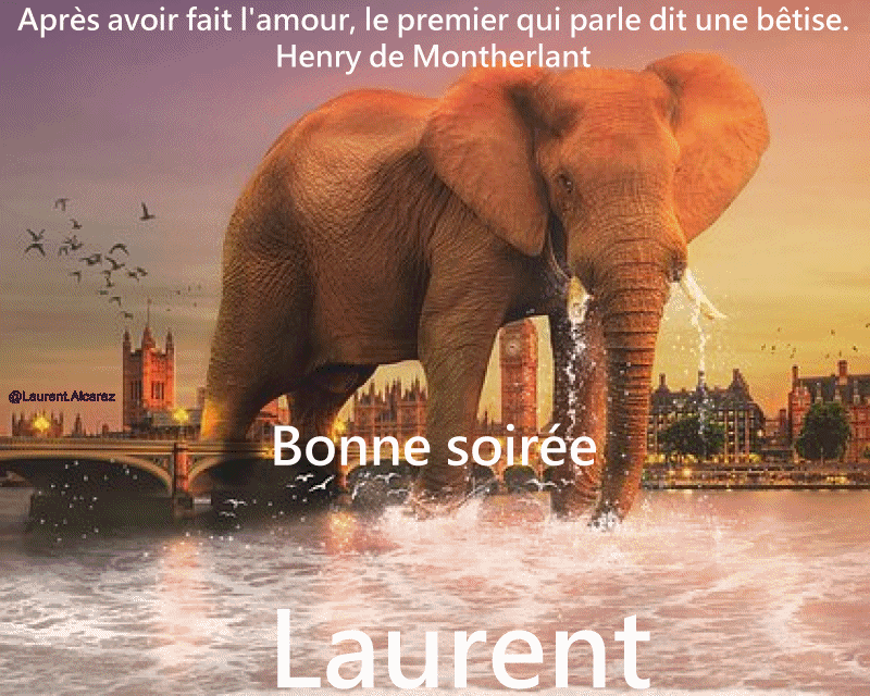 http://img.xooimage.com/files110/1/a/9/lolo2703n2-55f417f.gif lolo2703n2-55f417f