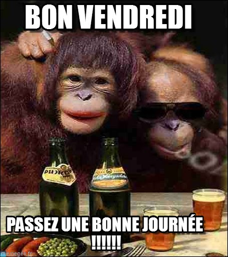 MAI : Rosée en avril et mai, rend août et septembre gai - Page 6 19---singes-vendrdi-523d541