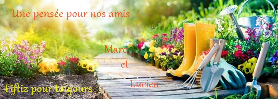 Annonce