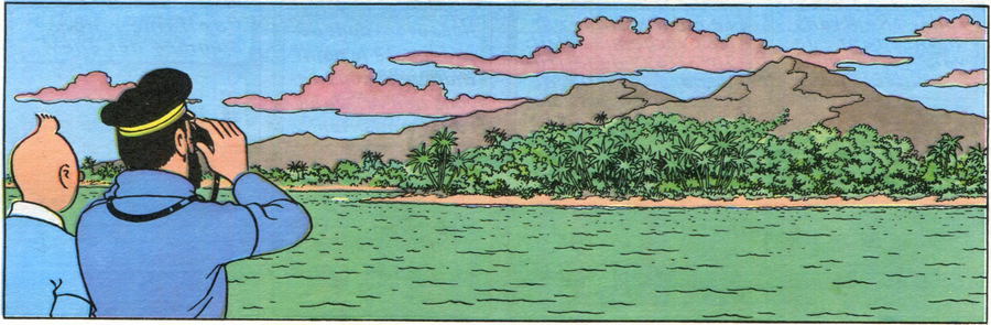 album ou tintin rencontre haddock