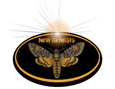 New Genesis, communauté de Fractal v7 Index du Forum