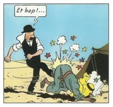 Tintin au pays des censeurs - Les livres interdits