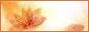 Tag graphisme sur ©Féline Pub | Forum de pub, codage, graphisme, annuaire web Zwm8kd36p3jp-5498047