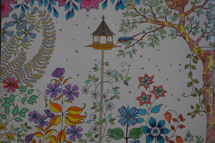 coloriages anti-stress : art thérapie :: jardin secret