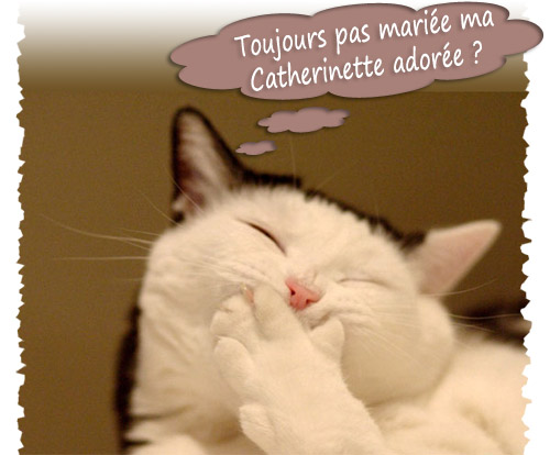 Rencontres Et Racines