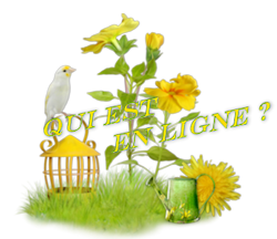 Qui est en ligne ?