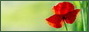 Tag graphisme sur ©Féline Pub | Forum de pub, codage, graphisme, annuaire web 6k8gn1dfayyi-5499593
