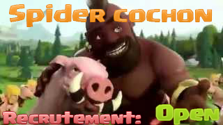 Spider cochon 
