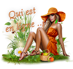 Qui est en ligne ?