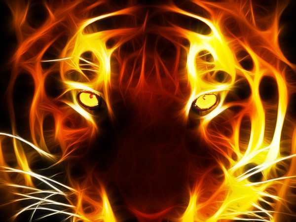 Alliance Tigers Index du Forum