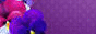 Tag graphisme sur ©Féline Pub | Forum de pub, codage, graphisme, annuaire web Oie_oie_fleurs-animation-549974e
