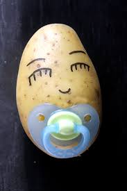 bébé patate Index du Forum