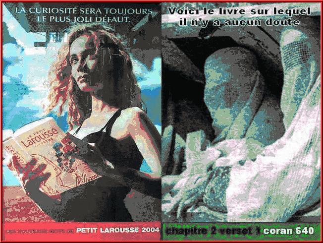 Mettons les voiles, pas le voile Islam-femmes-51ab381