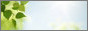 Tag graphisme sur ©Féline Pub | Forum de pub, codage, graphisme, annuaire web Rsj0upiiim6y-549957a