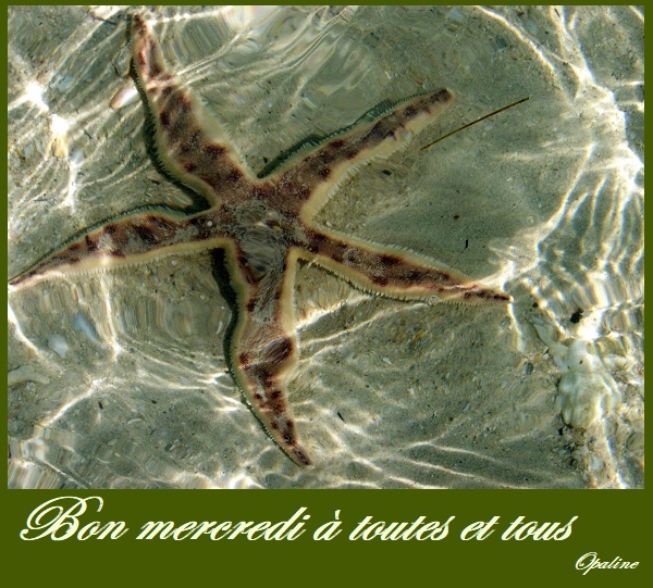 Mes poèmes pour ma vivi... L'amour de ma vie - Page 2 Mercredi-7-545c72b