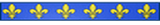 Roi de France