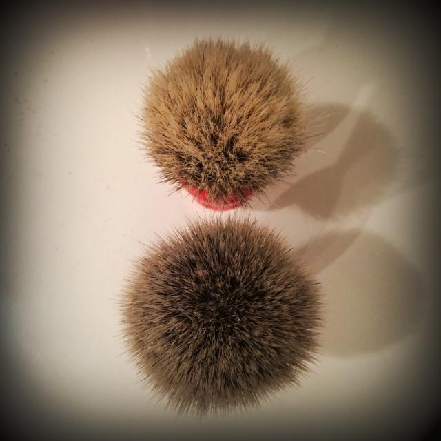 Conseil brosse en poils de bourrin Image-471b2a2
