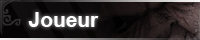 Joueur(-se)