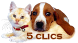 Clic animaux - Page 13 2f23ef1b-47da372-4de4c8c