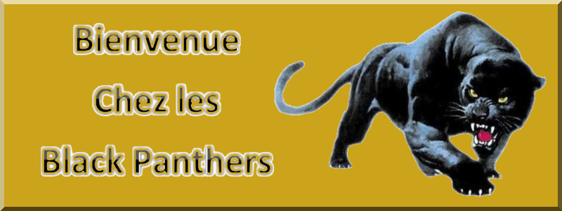 Black Panthers Guild Index du Forum