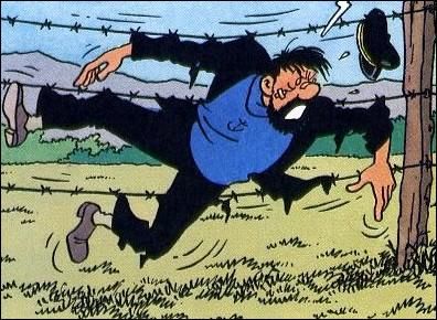 Dans Quel Album Tintin Rencontre Le Capitaine Haddock