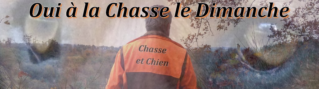 Le Forum Chasse et Chien Index du Forum