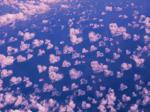 coeur-nuage-2642_w1000-4aeffdb.jpg