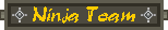 Ninja Team