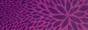 Tag graphisme sur ©Féline Pub | Forum de pub, codage, graphisme, annuaire web Violette-4e7b580