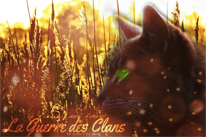 La guerre des clans le forum pour les grands fans! Index du Forum