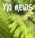 No new posts No new posts