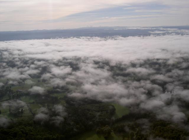 rencontre bort les orgues