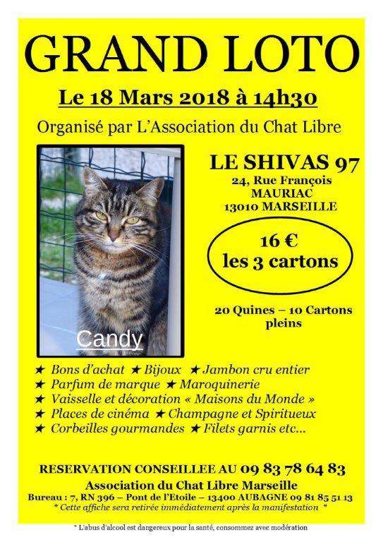 chat aubagne