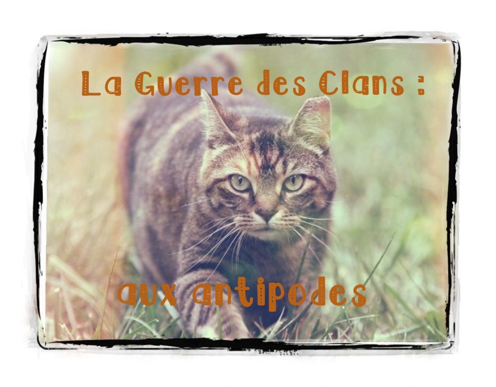 la guerre des clans : aux antipodes Index du Forum