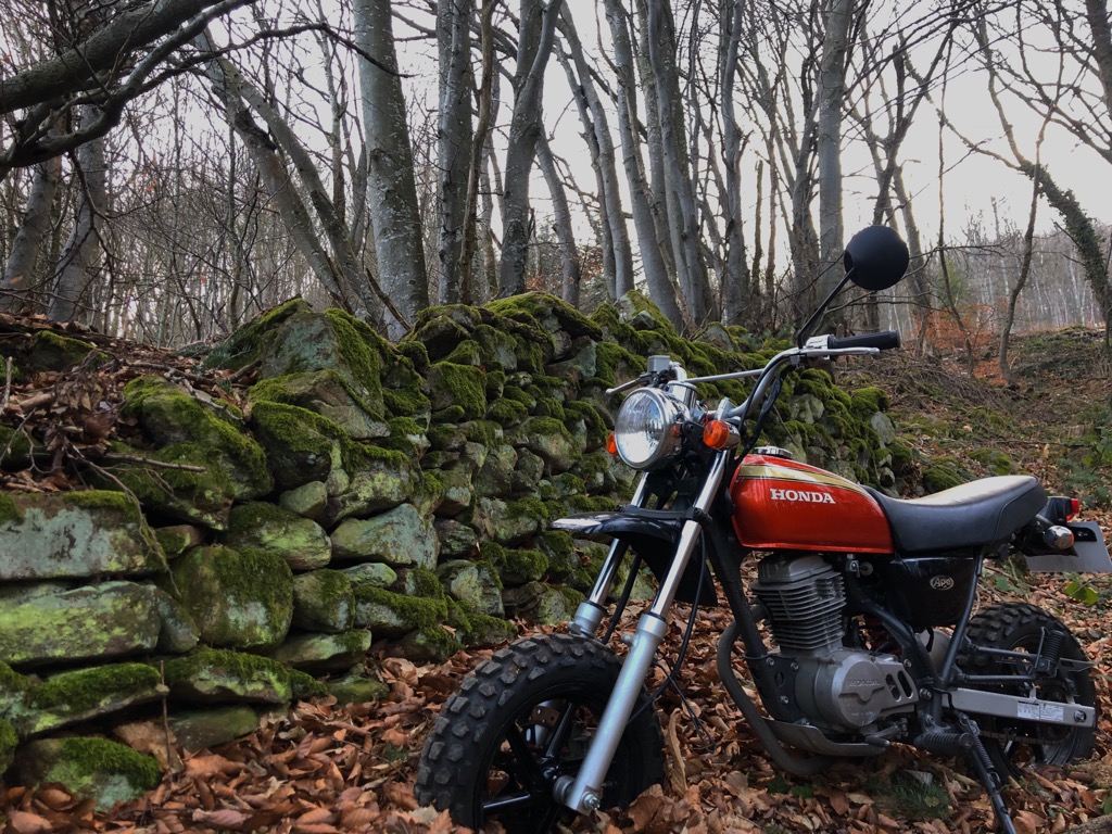 SOUTH-DAX-RIDERS Index du Forum